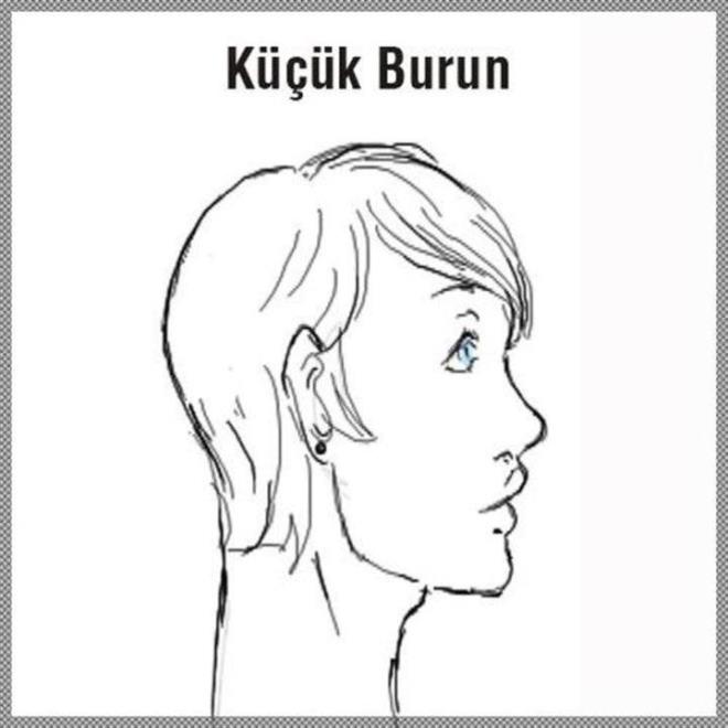Hokka burun olarak da bildiimiz burun yapsna sahip kiiler, zarafeti temsil eder. iyimserdir ve sevgi dolu olmalarnn yannda, gven verirler.