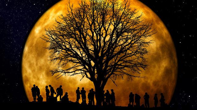 Daha nceye gidebilirler, bunun iin de tapu kaytlarna girmeleri gerekiyor. nk Osmanl tapu kaytlar ortalama 1850'lerden itibaren tutulmutur. Dolaysyla bu vesileyle iki kuak daha nceki byklerini ortaya koyma imkanlar douyor. Bunun iin de tapu kurumlarna mracaat edecekler.