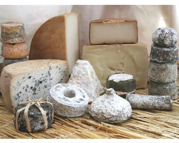 7- Yllandrlm peynirler    <br>  Peynire dkn insanlar iin yllandrlm-eski peynirle vazgeilmezdir. Kimi peynir eitleri 30 gn, kimileri 6 ay, kimileri daha uzun sre yalandrlr.