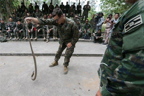 Tayland'da dzenlenen "Cobra Gold 2018" askeri tatbikat srasnda ilgin grntler olutu. Askerler, "hayatta kalma tatbikat" kapsamnda canl hayvanlar yiyip, kobra ylanlarnn kann iti.