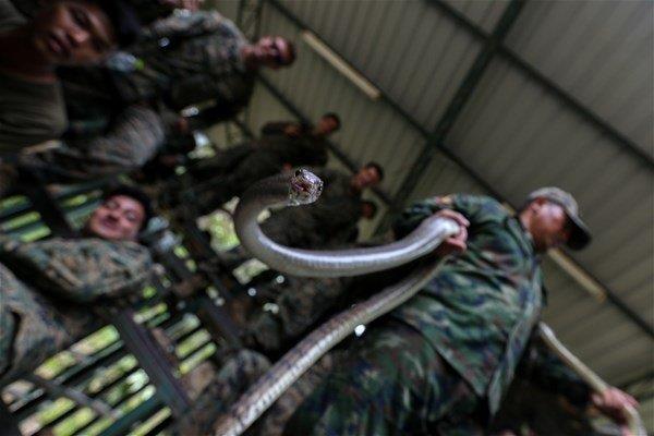 Tayland'da 29 lkenin katlmyla dzenlenen Cobra Gold 2018 (CG18) askeri tatbikatnda ilgin grntler ortaya kt.