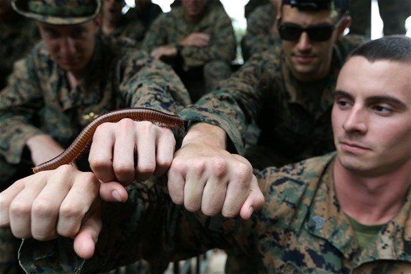 Askeri uzmanlar ayrca tatbikata katlan yaklak 12 bin askere, vahi doada ylanlarla "dost olma" tekniklerini de gsterdi.