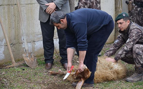 "RABBM AYAINIZA TA DEDRMESN": zel harekat polislerinin fedakarlk ve kahramanlklar karsnda duygulandn anlatan Yldrm, yle devam etti: "Rabbim ayanza ta dedirmesin. ok ey planladm sylemek iin fakat sizin bu fedakarlk ve kahramanlnz karsnda iinde bulunduum youn duygu nedeniyle pek ounu sarf edemiyorum. Ama bilin ki bizlerin gnl sizlerle, bu milletin gnl sizlerledir. Vatann bekas iin bizden sonrakilere daha gzel bir Trkiye brakmak iin daha gzel, daha gl bir devlet brakabilmek iin hepimizin fedakarlk yapmas gerekiyordu siz ncler oldunuz. Burada ben dahil btn arkadalarnz sizin yerinizde olmay ok arzu ederdik bunu bilesiniz."