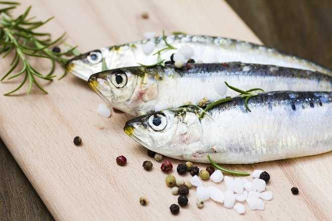 SARDALYA     Kan ekerinin dengelenmesine yardmc olur. Yksek miktarda protein iermektedir.