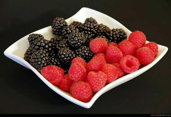 BRTLEN     Antioksidant ynnden zengindir. Yourtla beraber tketeceiniz brtlen uzun sre tok kalmanza yardmc olur.