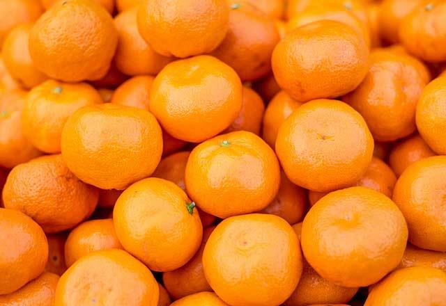 Sar besinler: Mandalina, malta erii, portakal, limon, kays ve kavun vb.