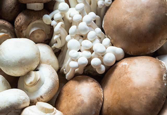 Beyaz besinler neye iyi geliyor?<p>      Temel zellikleri kansere kar koruyucu olmalardr. Sindirim sistemi iin faydaldr.