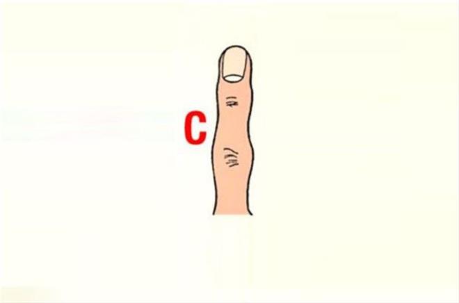 C tipi parmak ekline sahipseniz, parmak boumlarnzn eklemleri yumru biimindeyse idealist bir yapnz var demektir. Yarglanmaktan haz etmezsiniz, dostane olmayan insanlarla samimi olmazsnz. Bakalarnn dncelerine ok sayglsnzdr. Kendinizi o kadar iyi tanyorsunuz ki neyi sevip sevmediiniz konusunda kesin fikirleriniz vardr. Bu durum bazen evrenizdekileri rahatsz etse de sivri dncelerinizi saklama kabiliyetinizi kullanyorsunuz.