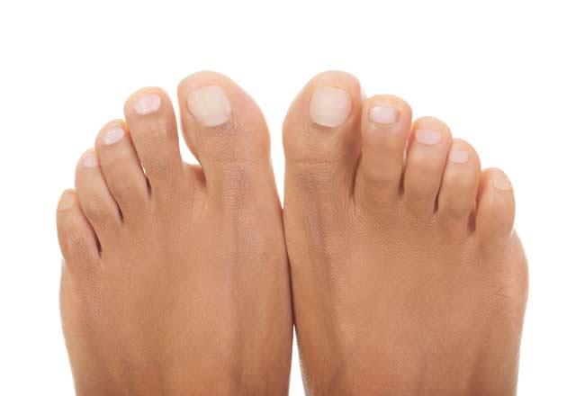 Uzundan ksaya doru<p>   Ayak parmaklar genelde kktr. Sr saklama konusunda olduka iyidirler. Bakalarnn problemini dert edinirler. Elerine olduka dkn, zevklerinden ise asla dn vermezler.