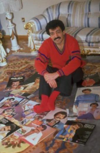 lkokuldan sonra eitime devam edemeyen Grses, terzilik renmesini isteyen babasnn kar kmasna ramen 15 yanda Adana'da bir aile ay bahesinde dzenlenen ses yarmasna katlarak, birinci oldu