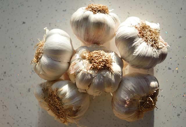 Peki, sarmsak yutmann zararlar var mdr?<p>      - Sarmsak faydasna ramen, ar sarmsak yutmak kiilerde mide skntlarna neden olabilir. zellikle midesinde gastrit ve refl problemi olan kiilerin sarmsak yutarken en fazla bir di olacak ekilde yutmalar nerilir.