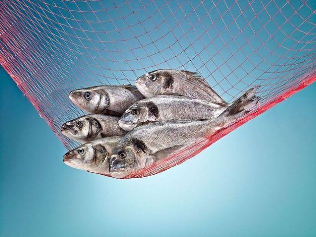 SOSLAMAYIN  <br>  Balk tek bana lezzetli bir besindir. ekerli, kremal, soyal soslar yerine limonlu ve sebzeli garniler ile birlikte frn poetinde piireceiniz balklar daha salkl ve lezzetli olur.