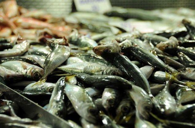 TOKLUK HSS VERYOR  <br>  Balk doymam ya ieren omega 3'ten zengin bir besin. Omega 3 ya asitleri de kalp damar hastalklarna kar koruyucu etki gsteriyor.