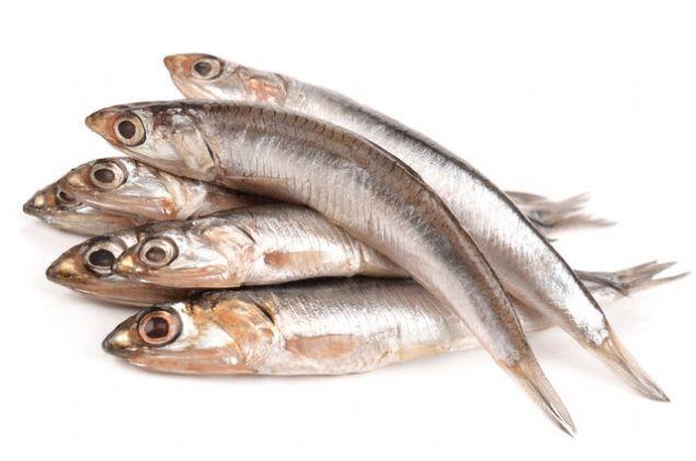 yle ki 85 bin menopoz sonras kadn zerinde yaplan bir aratrmada; haftada 5 ve daha fazla balk tketenlerde hi balk tketmeyenlere gre kalp krizi gelime riski yzde 30 daha az bulunmu. Balk ierdii omega 3 sayesinde de zihni aarak hafza kayb ve unutkanl nlyor.