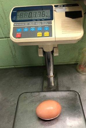 Stockman, bir insann avucunu tamamen kaplayan, normal boyutunun 3 kat olan bu yumurtay sosyal medyada paylat.176 gram arlndaki yumurta daha ok bir kaz yumurtasn andryordu.