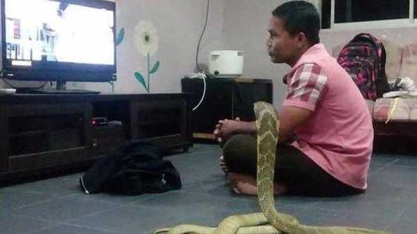 Ylanlarla iletiime geerek onlar sakinletirmenin yntemini bulan Hssin, nceki gn lke basnnn gndemindeydi.