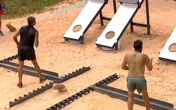 DL OYUNUNU HANG TAKIM KAZANDI?: Survivor 2018'in 19 Mart Pazartesi akam yaynlanan blmnde iki takm zorlu bir parkurda sucuk ekmek dln kazanmak ve Fenerbahe-Galatasaray derbisini izleme ans elde etmek iin mcadele ettiler. Kazanan takm All Star oldu. All Star takm ayrca Survivor Enternasyonel'de Yunanistan takmnn karsna kmaya hak kazand.