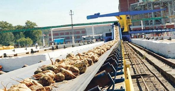 <p>irket Ad:Erbakr</p>  <p> </p>  <p>2015 Sras:6</p>  <p> </p>  <p>2016 Sras:9</p>  <p> </p>  <p>ehir:Denizli</p>  <p> </p>  <p>Ciro (TL):2.172.255.223</p>  <p> </p>  <p>Sektr:Metal</p>  <p> </p>  <p>irket Ad:Kroman elik Sanayi</p>  <p> </p>  <p>2015 Sras:9</p>  <p> </p>  <p>2016 Sras:8</p>  <p> </p>  <p>ehir:Kocaeli</p>  <p> </p>  <p>Ciro (TL):2.182.694.467</p>  <p> </p>  <p>Sektr:Demir-elik</p>  <p> </p>  <p>irket Ad:Batu Metalurji</p>  <p> </p>  <p>2015 Sras:11</p>  <p> </p>  <p>2016 Sras:7</p>  <p> </p>  <p>ehir:Osmaniye</p>  <p> </p>  <p>Ciro (TL):2.200.925.306</p>  <p> </p>  <p>Sektr:Metal</p>  <p> </p>