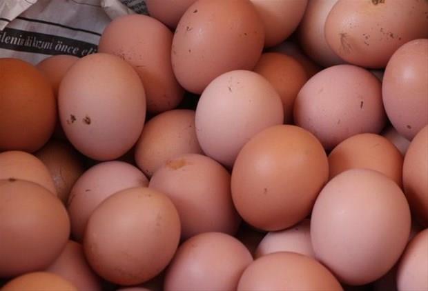 Bu haberi okuduktan sonra bir daha yumurtann kabuunu pe atmayacaksnz.