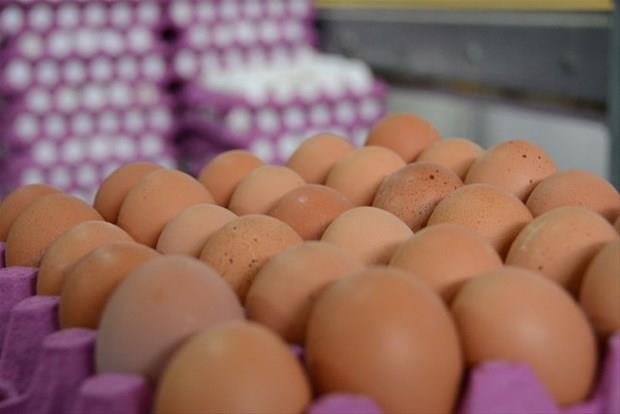 Kabuun ieriindeki kalsiyum, kadnlarda yalanmaya bal olarak gelien osteoporoz arlarn ve kemik erimesini azaltyor.