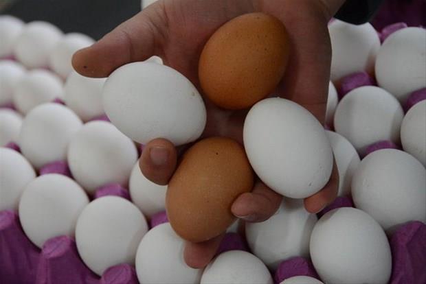 Frndan aldnz kabuklar ince toz haline gelene kadar mutfak robotunda tn.