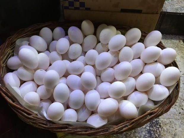 Fakat dikkatli olmanz gereken bir konu var; o da kalsiyumun aznn da fazlasnn da zararl olduudur.