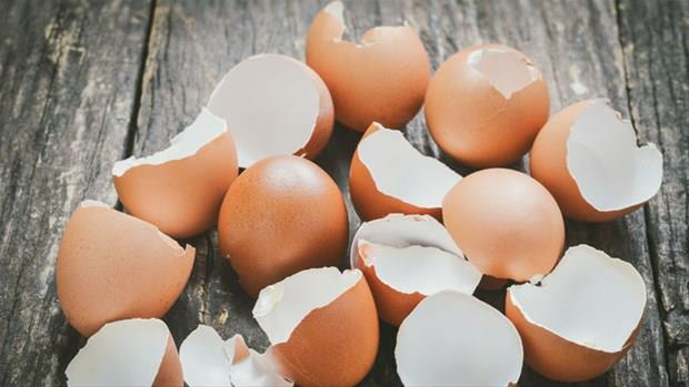 Salkl bir yetikin gnde 1 gramdan fazla kalsiyuma ihtiya duymaz.