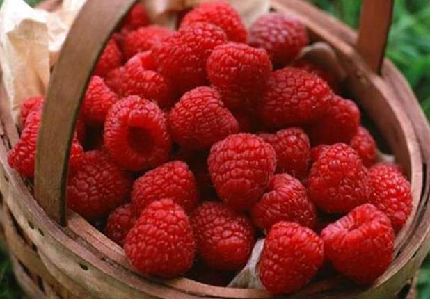 ok nadir bir dnemde tazesini yakalayabildiimiz ahududuyu taze veya dondurulmu olarak tketebilirsiniz.Akam yatmadan nce 1 kase ahududu sizi yattracak ve uykuya hazrlayacaktr.