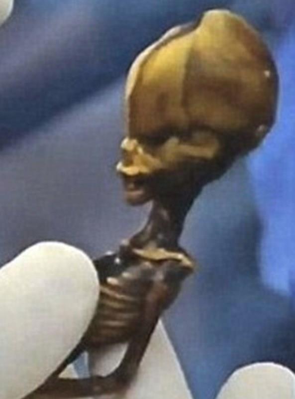 &#8220;Bu uzayllar hakknda bir hikaye olarak balayarak, uluslararas bir olaya dnt, gerekte yaanan ise bir insanlk trajedisi. Bir kadn garip d grne sahip bir kz ocuu dourdu, belki de onu belli bir yaa kadar korumaya baard, ancak, her ne olursa olsun bu ocuk bir eya gibi satlarak gnmze kadar geldi.&#8221;&#8220;Ata&#8217;nn uygun bir ekilde, bulunduu blgeye gtrlp gmlmesi gerektiine inanyorum. imdiki bilgiler nda bu kalntlarn bir ocua, doum ncesi ya da sonrasnda len bir kz bebee ait olduunu biliyoruz.&#8221;