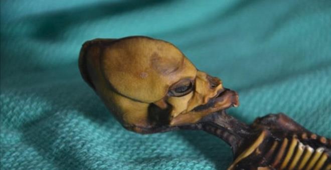 spanyol bir koleksiyoncu tarafndan satn alnarak ortaya karlan mumya ile ilgili daha nce Sirius isimli bir belgesel ekilmi, eitli komplo teorilerinin yan sra bulunan iskeletin uzayllarn varlna kant olabilecei ne srlmt.