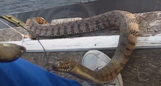 Her zaman gittii yerde balk tutan bu adamn davetsiz misafir karsnda verdii tepki herkesi ok etti.