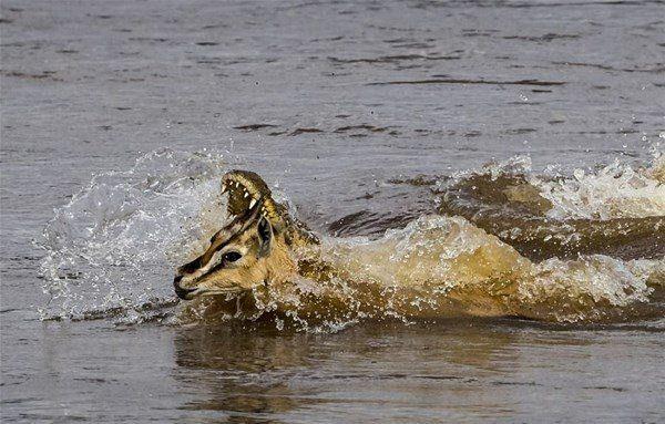 O anlar ite byle kaydedildi.