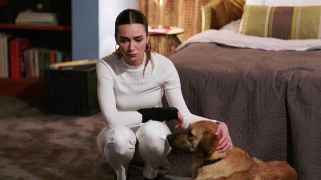 Daha sonra toparlanmaya balayan dizinin reytingleri de canland. 16. sradan 6. sraya kadar bir ykseli balad. Bu ykseli ile birlikte dizinin stndeki kara bulutlar bir nebze olsun dalmaya balad.