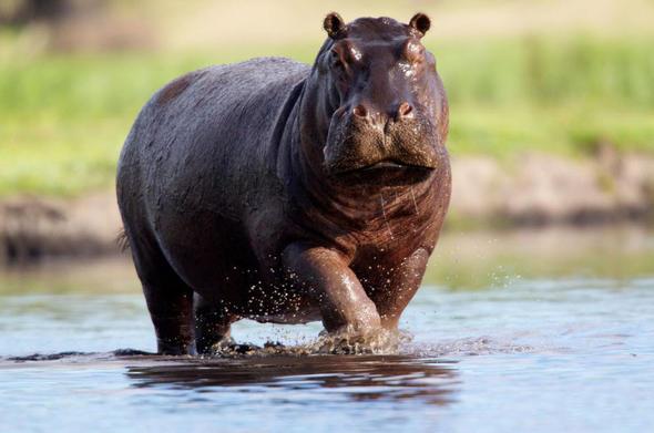 Sizce ylda ka insan suaygrlar yznden lyor?
