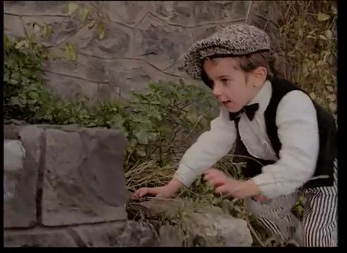 1994 ylnda Arnavut Kaldrm klibinde grdmz oyuncu 1997 ylnda ise 'likiler' isimli dizide rol ald.