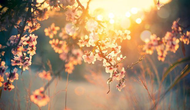 &#8220;Dikkat edilmesine ramen bu ikayetler devam ederse altta yatabilen nedenlere ynelik tetkik etmeyi ihmal etmemek gerekir&#8221; diyen Murrja, baharn tetikledii 5 hastal anlatarak alnmas gereken nlemlere dikkat ekiyor: