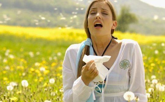 Korunma yollar: Bahar alerjisi olanlar iin aa ve ieklerin youn olduu yerlerden uzak durmak nemli. Evde hal, kilim gibi toz tutan eyalar kaldrmak ve sk temizlik yaptrmak faydal olabilir. Tedavi olarak alerji ilalar veya uygun hastalarda a uygulanyor. Tedaviyi ihmal etmemek, hastaln astma evrilmemesi asndan ok nemli.