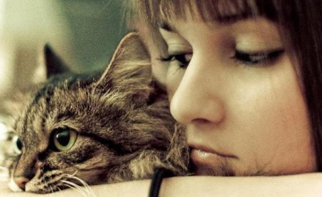 Yaplan arama: Kedimin beni sevmesini nasl salarm?    Ayda ka kez aranyor: Ortalama 390