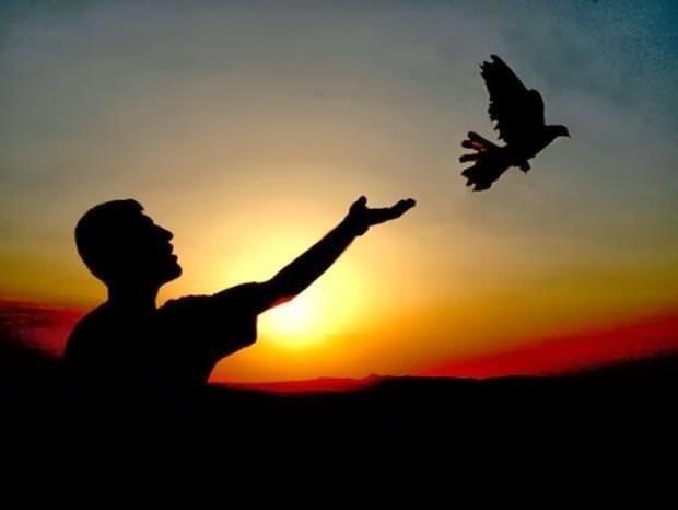 Yaplan arama: Cinayetten nasl paay kurtarrm    Ayda ka kez aranyor: Ortalama 2 bin