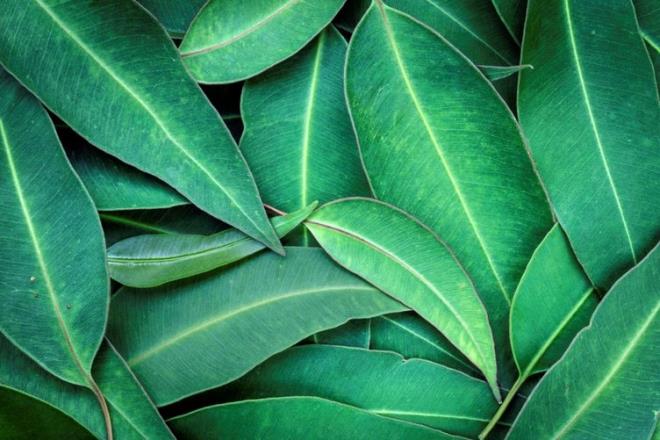 OKALPTS    Hamam bcei, kalorifer bcei