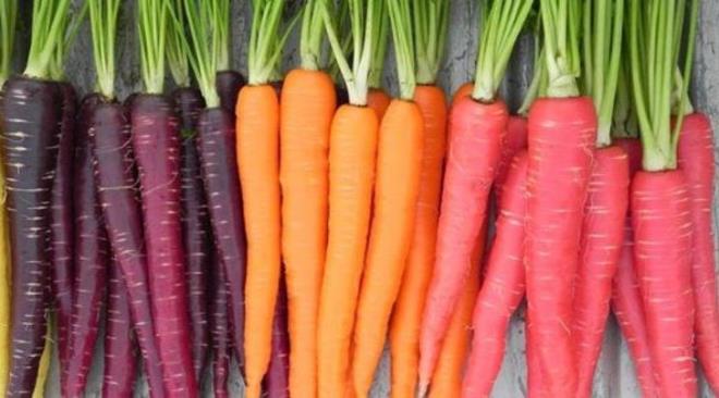 Havu: Sebzeler ierisinde glisemik indeksi en yksek olanlardandr. Acktrc zellii olduundan diyetlerde fazla tercih edilmemelidir.