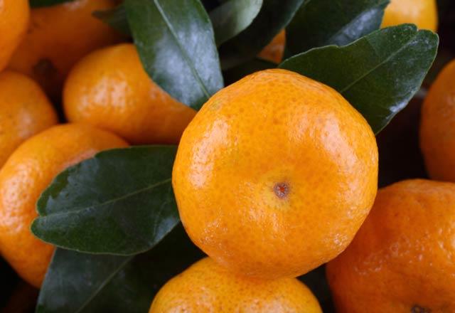 100 gram mandalina:53 kalori--    eker oran yksek olan mandalina ieriinde bol miktarda karotenaid ve A vitamini de yer alyor.