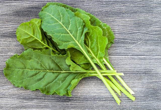 100 gram paz: 19 kalori--    Antioksidan ynnden zengin olan paz, sebzelere renk veren madde bakmndan da olduka zengindir.