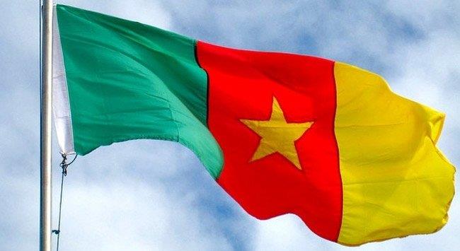 56. Kamerun    23.248.044 % 0.31