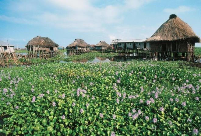 82. Benin    11.002.578 % 0,14