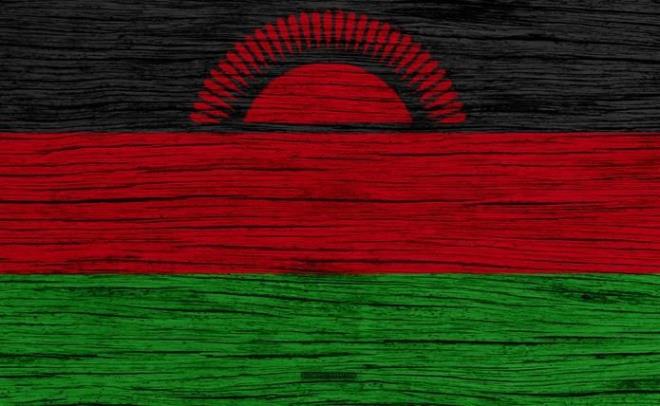 65. Malavi    17.373.185 % 0.23