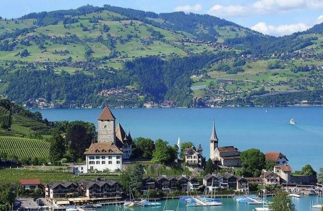 99. svire    8.465.234 % 0.11