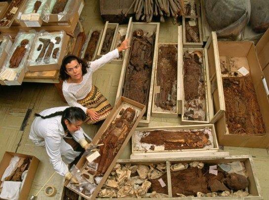 Ardndan bedeni ubuklar ve hayvan klyla yeniden ina ediyor ve beyaz kl kaplyorlard. En son bir dokunu olarak kafatasna ksa siyah bir tutam sa ekliyor ve bedeni manganez ile siyaha boyuyorlard. Chinchorro'larn neden llerini mumyaladklar bilinmiyor. lmden sonra hayata inanyorlard belki ya da deprem ve El Nio gibi doal felaketler halk lm ritelleri ve atalara tapnmaya itmiti.