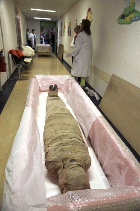 Mumyalar konusundaki aratrma henz sona ermi deil. Bilim insanlar u sralarda, bir baka gizli mezara alan kapnn ipularn bulduklar Kral Tutankhamun'un mezarn inceliyorlar. Arkeolog Nicholas Reeves mezarda Tutankhamun'un kaynvalidesi nl Nefertiti'nin yattna inanyor.