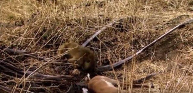 Tam ldrmek zere iken beklenmedik bir olayla karlayor.